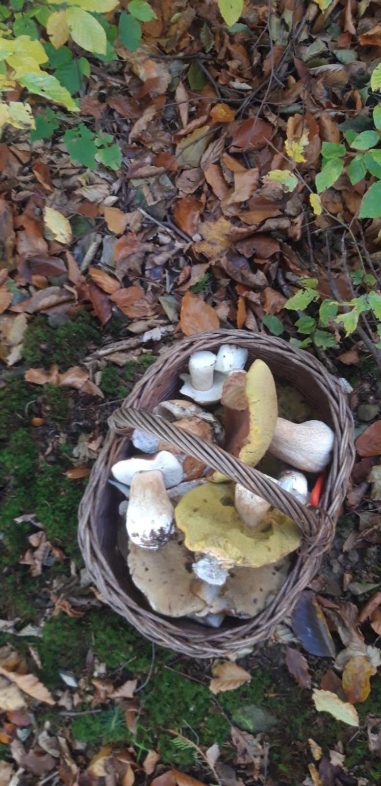 Agroturystyka Koronkowe Zacisze Koniaków Esterno foto