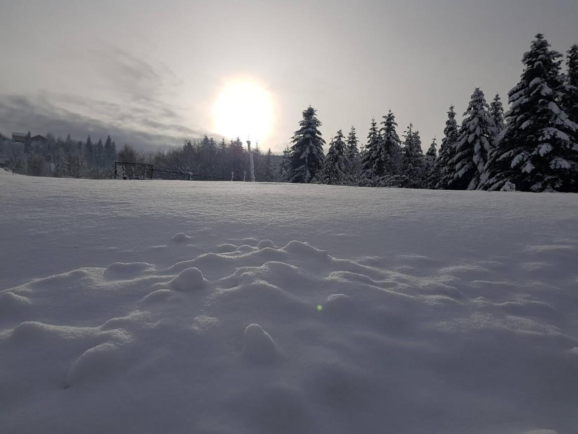 Agroturystyka Koronkowe Zacisze Koniaków Esterno foto