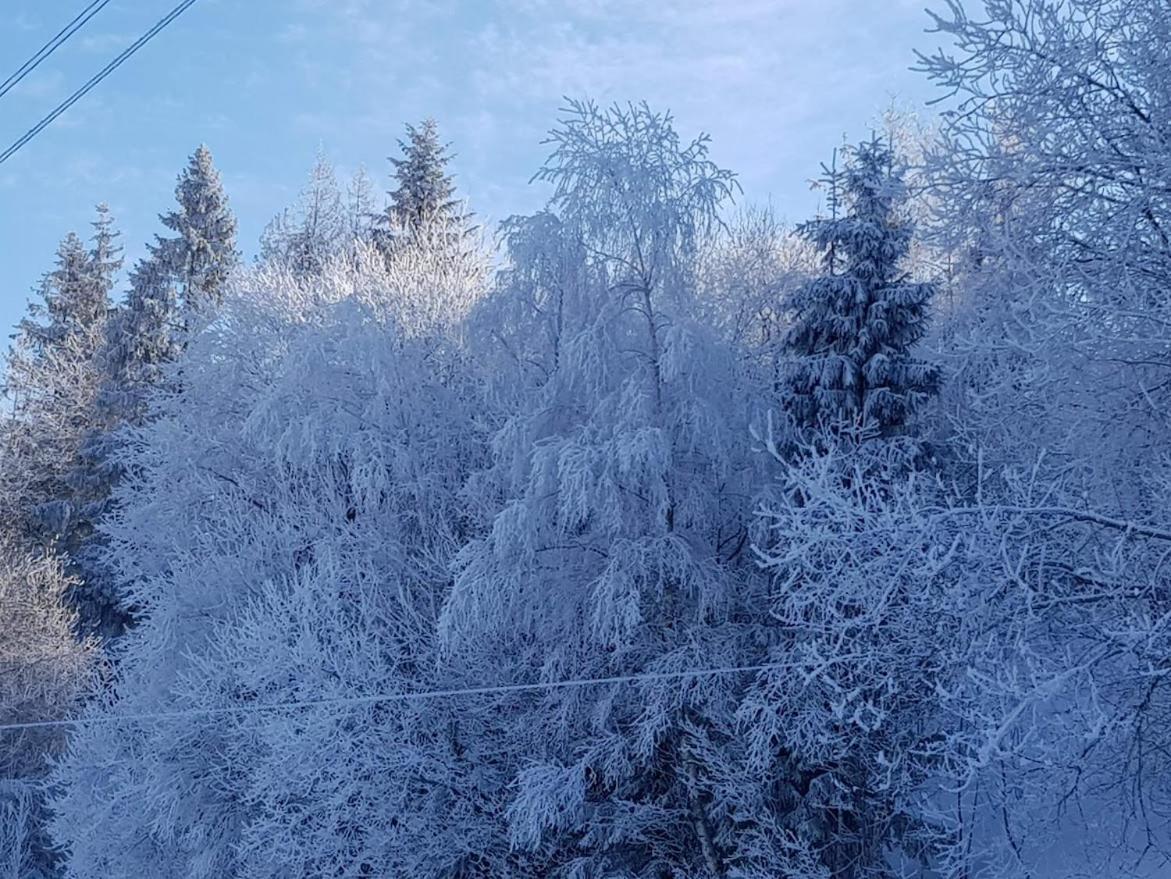 Agroturystyka Koronkowe Zacisze Koniaków Esterno foto